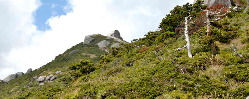 黒味岳コースイメージ