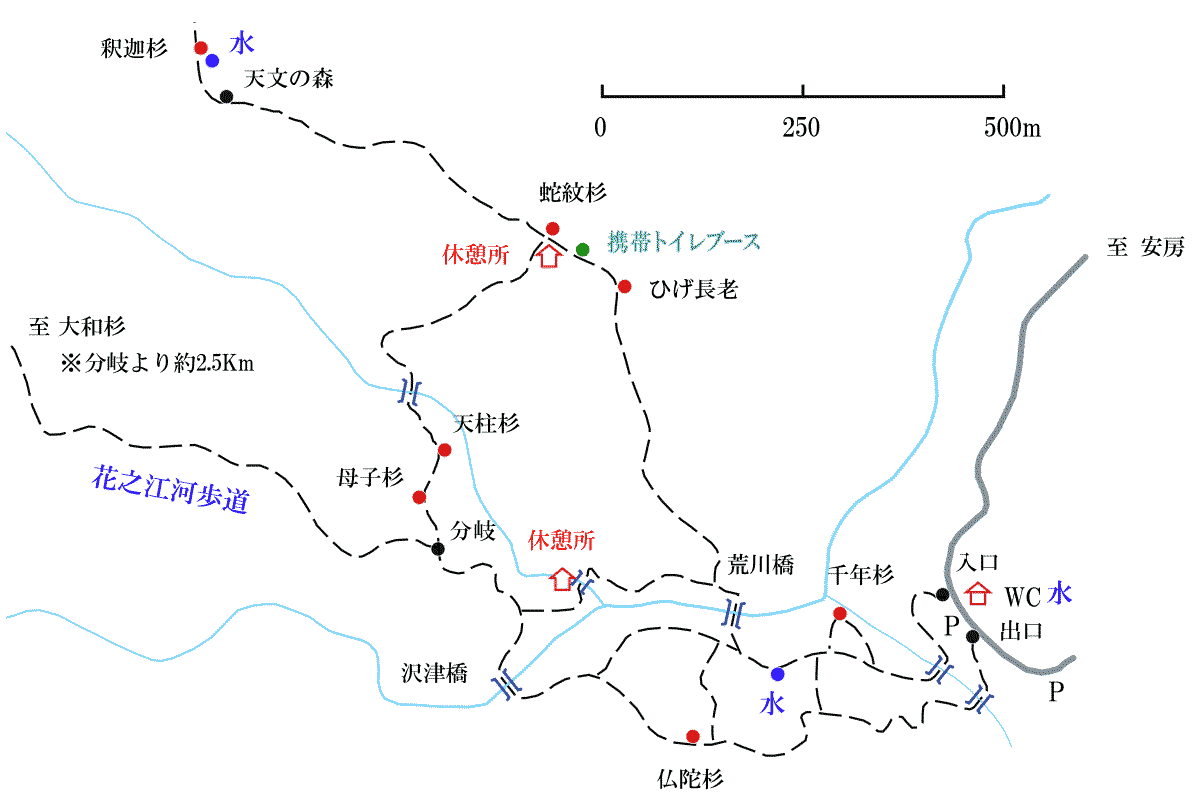 ヤクスギランドコース地図