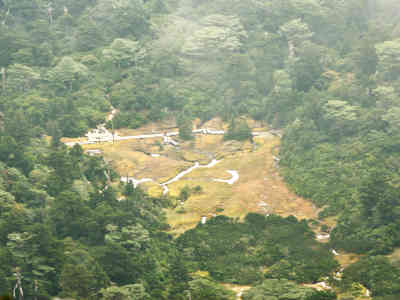 山頂より花之江河