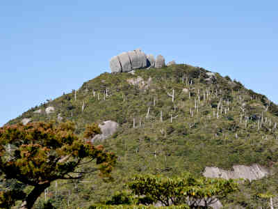 トーフ岩