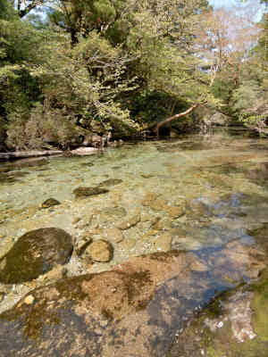 淀川