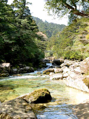 つつじ河原