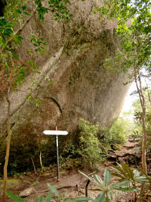 山頂手前１Ｋｍ