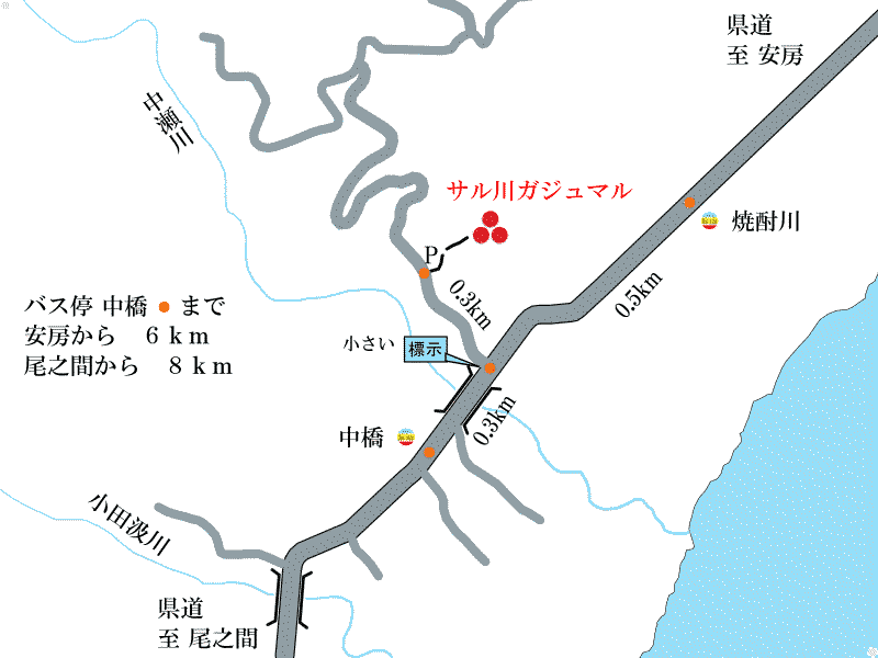 サル川ガジュマル周辺地図