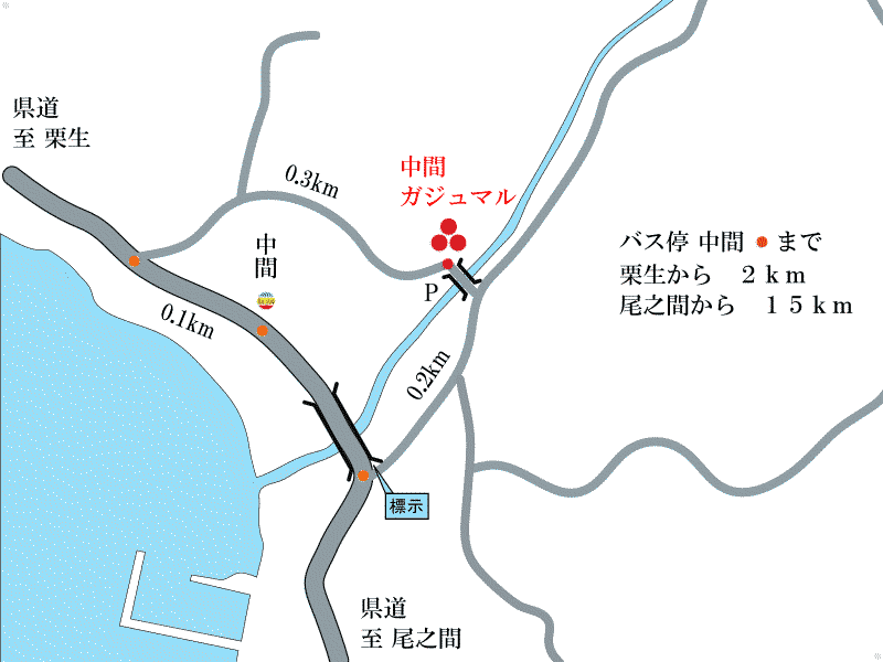 中間ガジュマル周辺地図